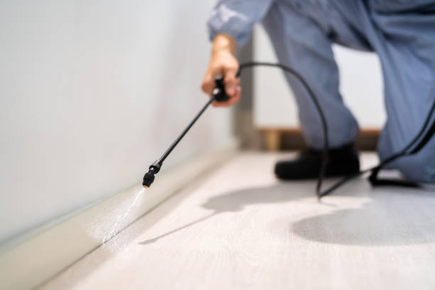 Licensed Cockroach Control service in Genoa, IL - Nex Pest Control