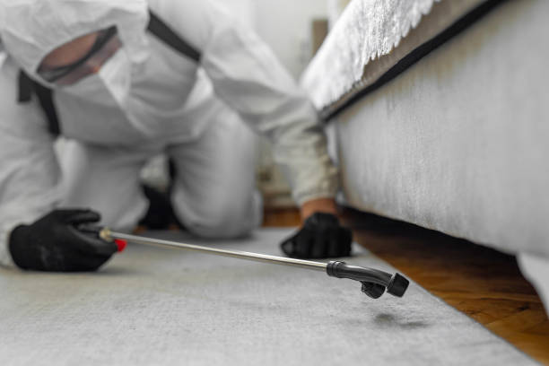Professional Cockroach Control technician working in Genoa, IL
