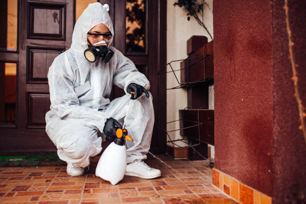 Reliable Cockroach Control contractor in Genoa, IL by Nex Pest Control