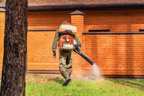 Top rated local Cockroach Control specialists in Genoa, IL
